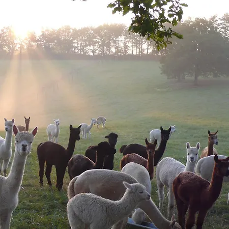 팜스테이 Alpagas Du Quercy *