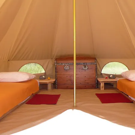 Alpagas Du Quercy 팜스테이 Frayssinet