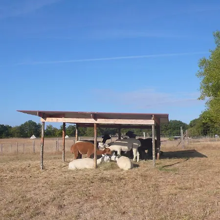 팜스테이 Alpagas Du Quercy Frayssinet